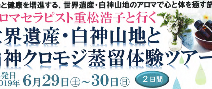 スペシャル企画のお知らせ